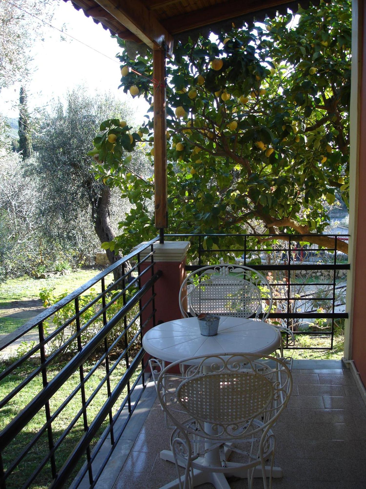 Bozikis Apartments & Studios Paleokastritsa Zewnętrze zdjęcie